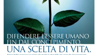 materiale_img_22.jpg