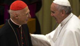 bagnasco-papa-francesco-ansa1