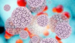 virus-malattie-sessualmente-trasmissibili-e1435229514259
