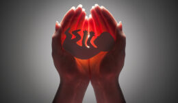embryo embryo silhouette in woman hand