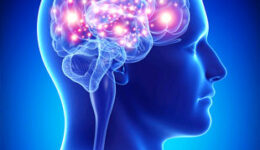 neuroscienzesport-Copia