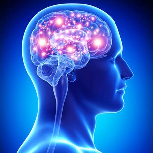 neuroscienzesport-Copia