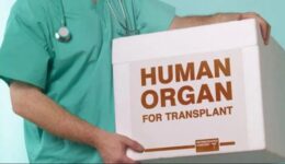 trapianto-organi-600×343