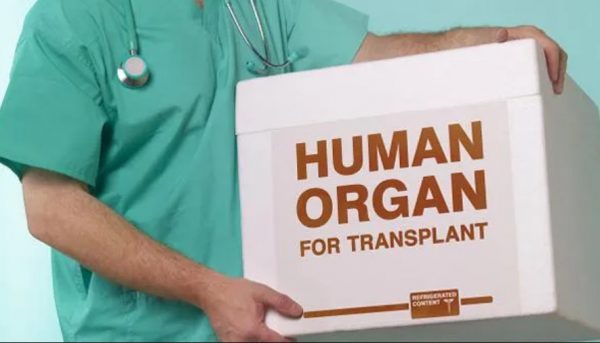 trapianto-organi-600×343