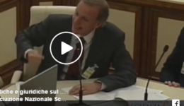 Audizione_senato_Gambino