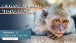 sv-organi-animali-umanizzati