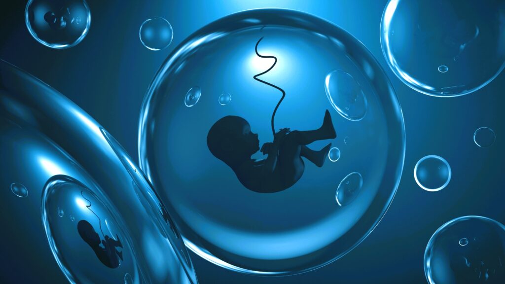 Placenta artificiale (1)