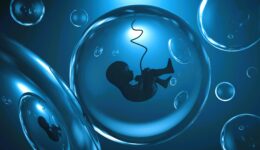 Placenta artificiale (1)