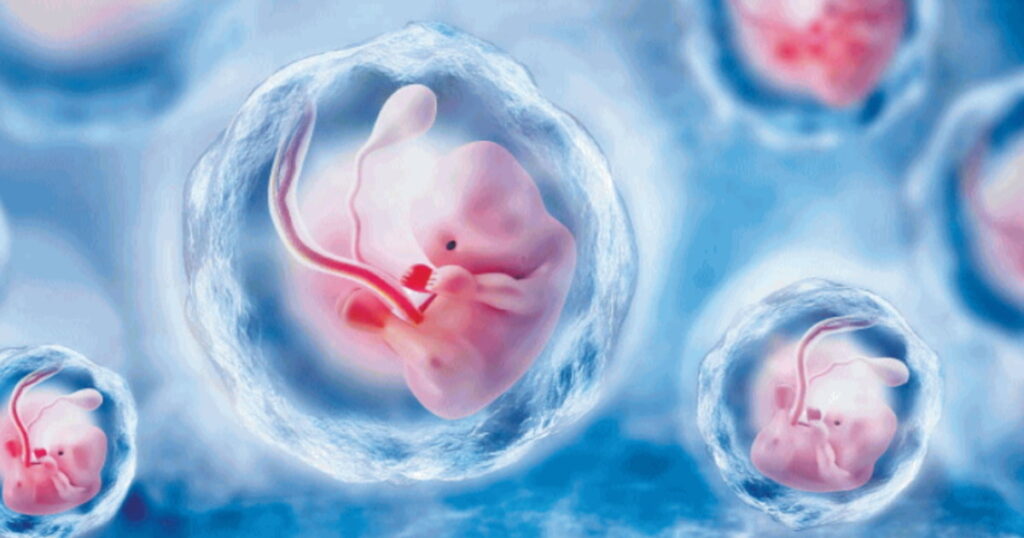 ectogenesi