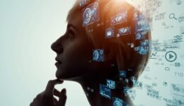 AdobeStock_416251088-bassa