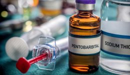 Vial With Pentobarbital Used For Euthanasia And Lethal Inyecion In A Hospital Vial With Pentobarbital Used For Euthanasia And Lethal Inyecion In A Hospital