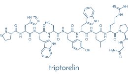 Triptorelin gonadotropin releasing hormone agonist drug molecule. Skeletal formula.