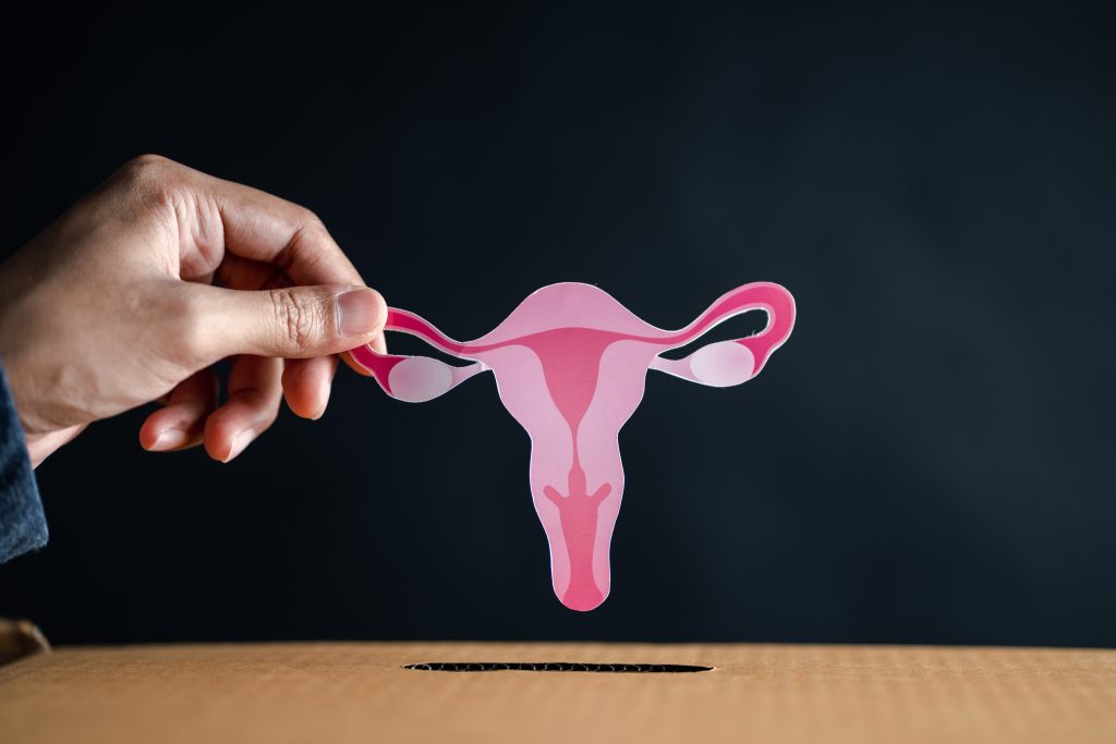 Hands drop uterus to donation box, female reproductive system, women’s health, PCOS, ovary gynecologic and cervical cancer, Health insurance, Healthy feminine concept Hands drop uterus to donation box, female reproductive system, women's health, PCOS, ovary gynecologic and cervical cancer, Health insurance, Healthy feminine concept
