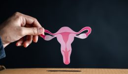 Hands drop uterus to donation box, female reproductive system, women’s health, PCOS, ovary gynecologic and cervical cancer, Health insurance, Healthy feminine concept Hands drop uterus to donation box, female reproductive system, women's health, PCOS, ovary gynecologic and cervical cancer, Health insurance, Healthy feminine concept