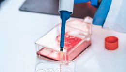 Biotechnology female researcher in laboratory working with cell culture