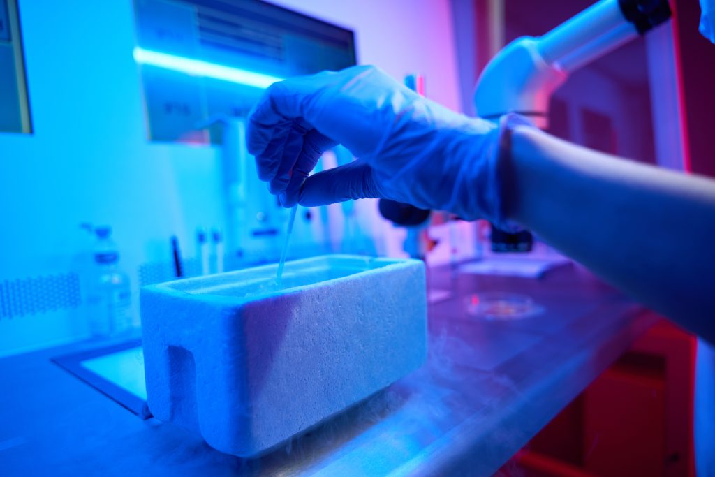 Laboratory assistant works with biomaterial under a powerful microscope Laboratory assistant works with biomaterial under a powerful microscope, she immerses straw with an embryo into tank with liquid nitrogen
