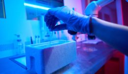 Laboratory assistant works with biomaterial under a powerful microscope, she immerses straw with an embryo into tank with liquid nitrogen