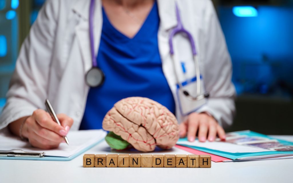 AdobeStock_1510274485