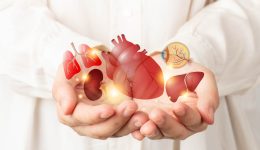Organ donation and transplantation concept. Doctor hands holding liver, heart, eye, kidney and lung symbol. Health care and medical.